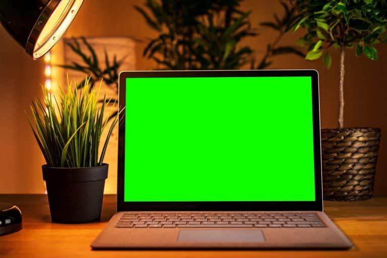 Types d&rsquo;influenceurs sur les réseaux sociaux