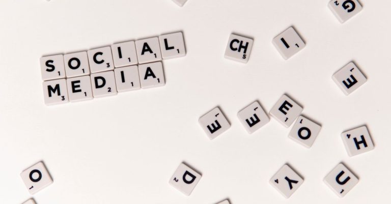 L’importance des réseaux sociaux pour les internautes