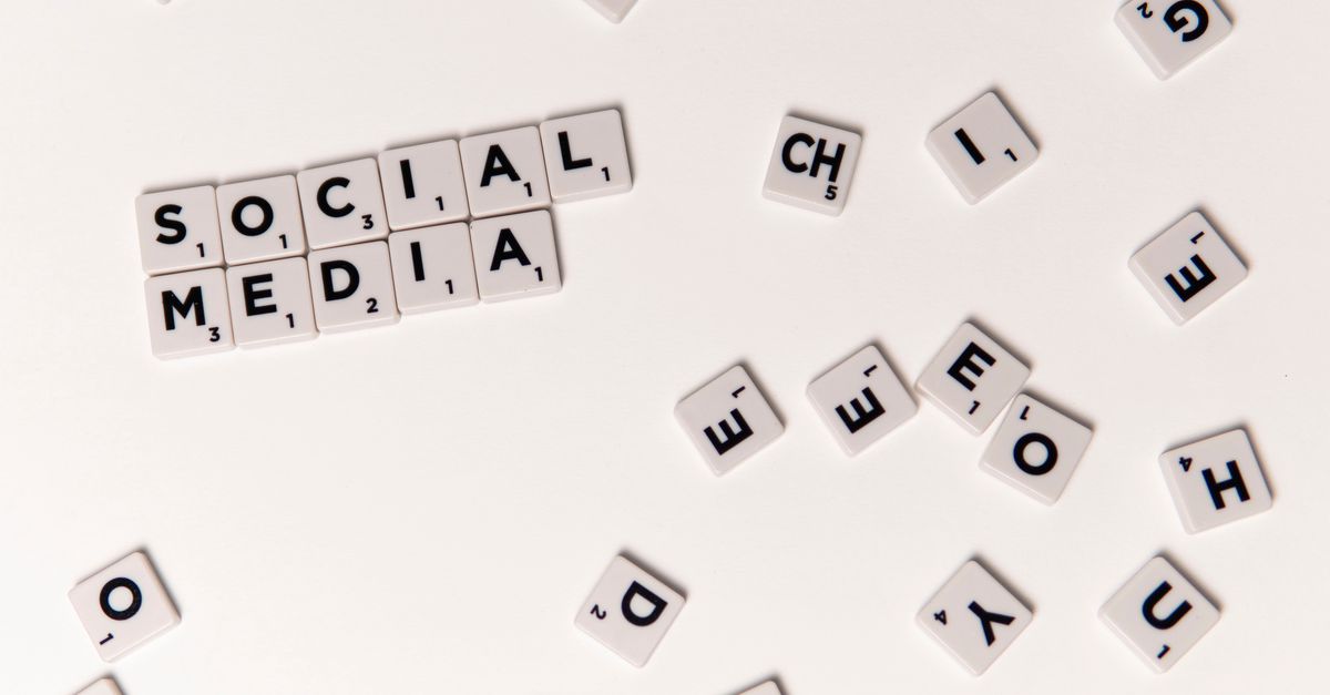 L’importance des réseaux sociaux pour les internautes L’importance des réseaux sociaux pour les internautes