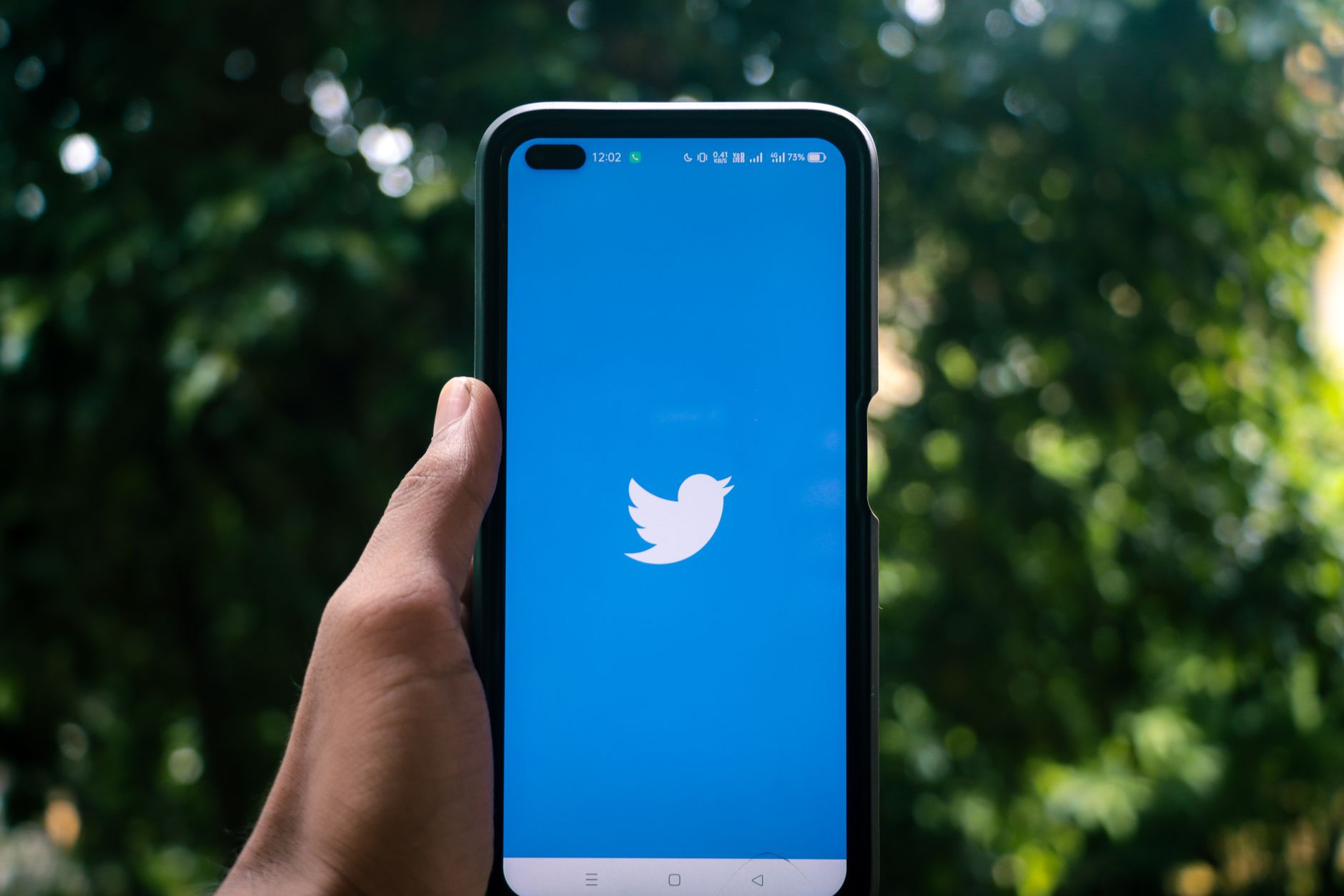 Une main tenant un smartphone affichant le logo Twitter à l'extérieur, entouré de verdure.